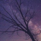 One Law to Rule Them All:   Follow up to MOND versus Dark Matter